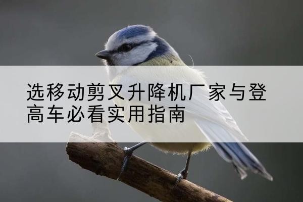 鄞州电动升降机厂家-选移动剪叉升降机厂家与登高车必看实用指南