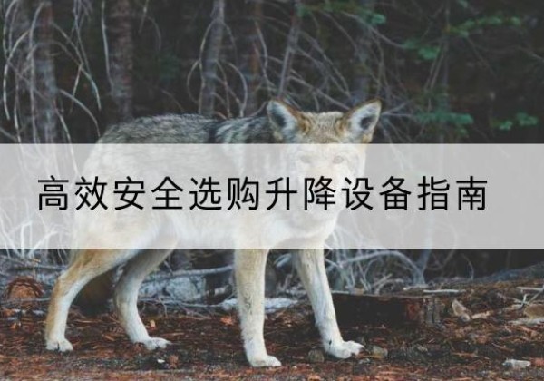 鄞州升降货梯厂家推荐-*安全选购升降设备指南