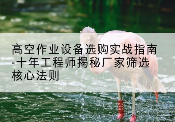 鄞州剪叉式升降机厂家-高空作业设备选购实战指南-十年工程师揭秘厂家筛选核心法则